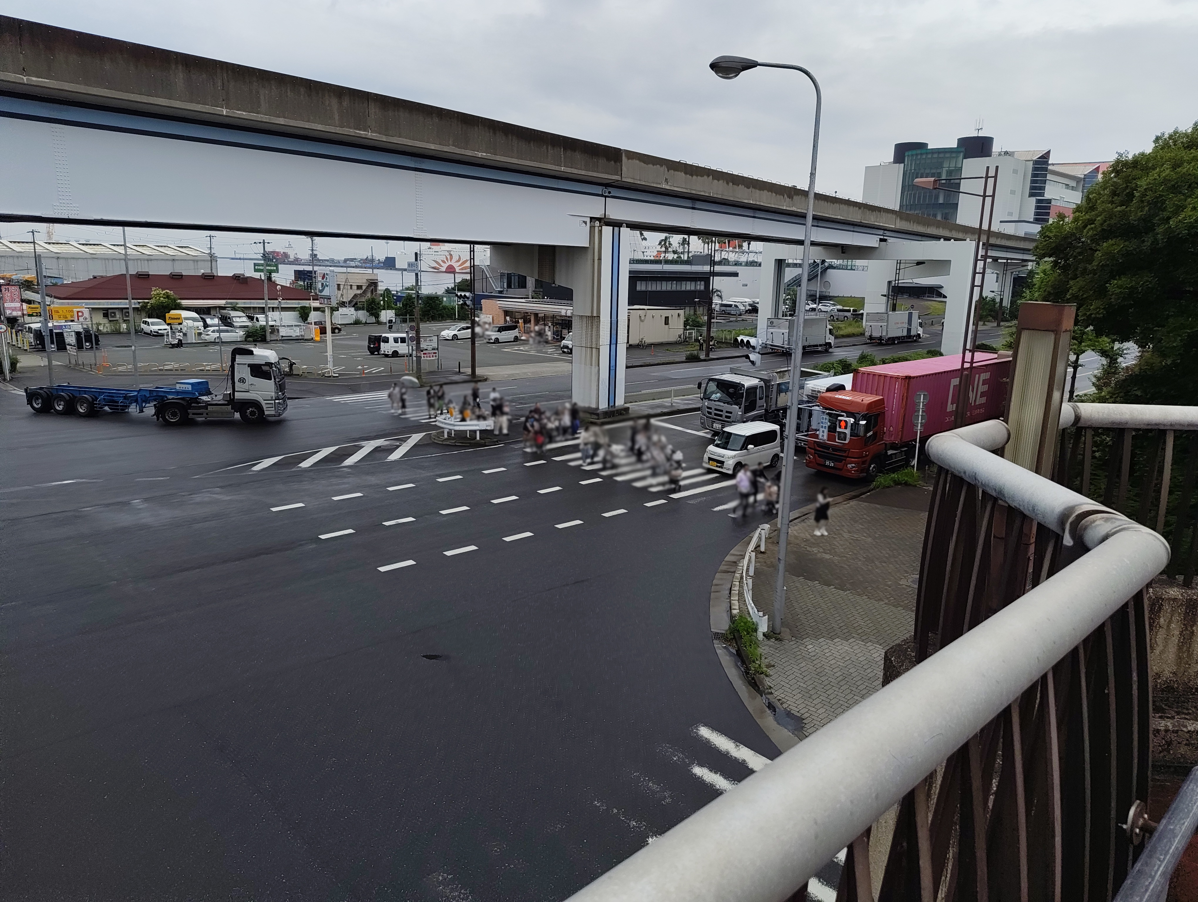 歩道橋から見た犬連れのご一行
