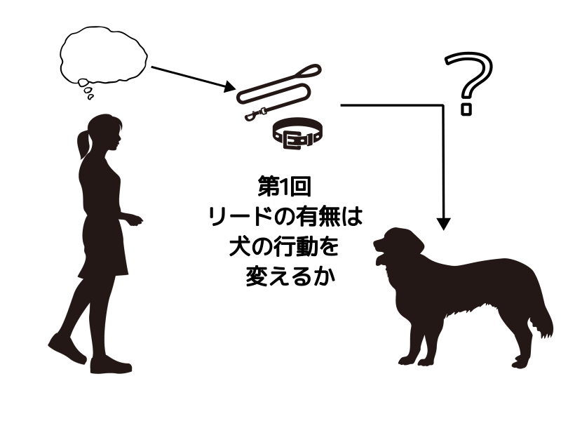 リードの有無は犬の行動を変えるか
