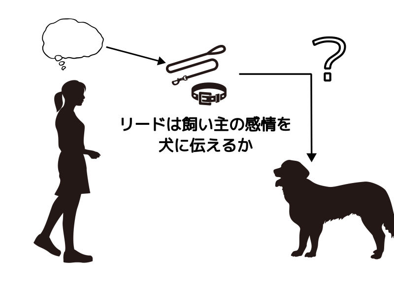 リードは飼い主の感情を犬に伝えるか