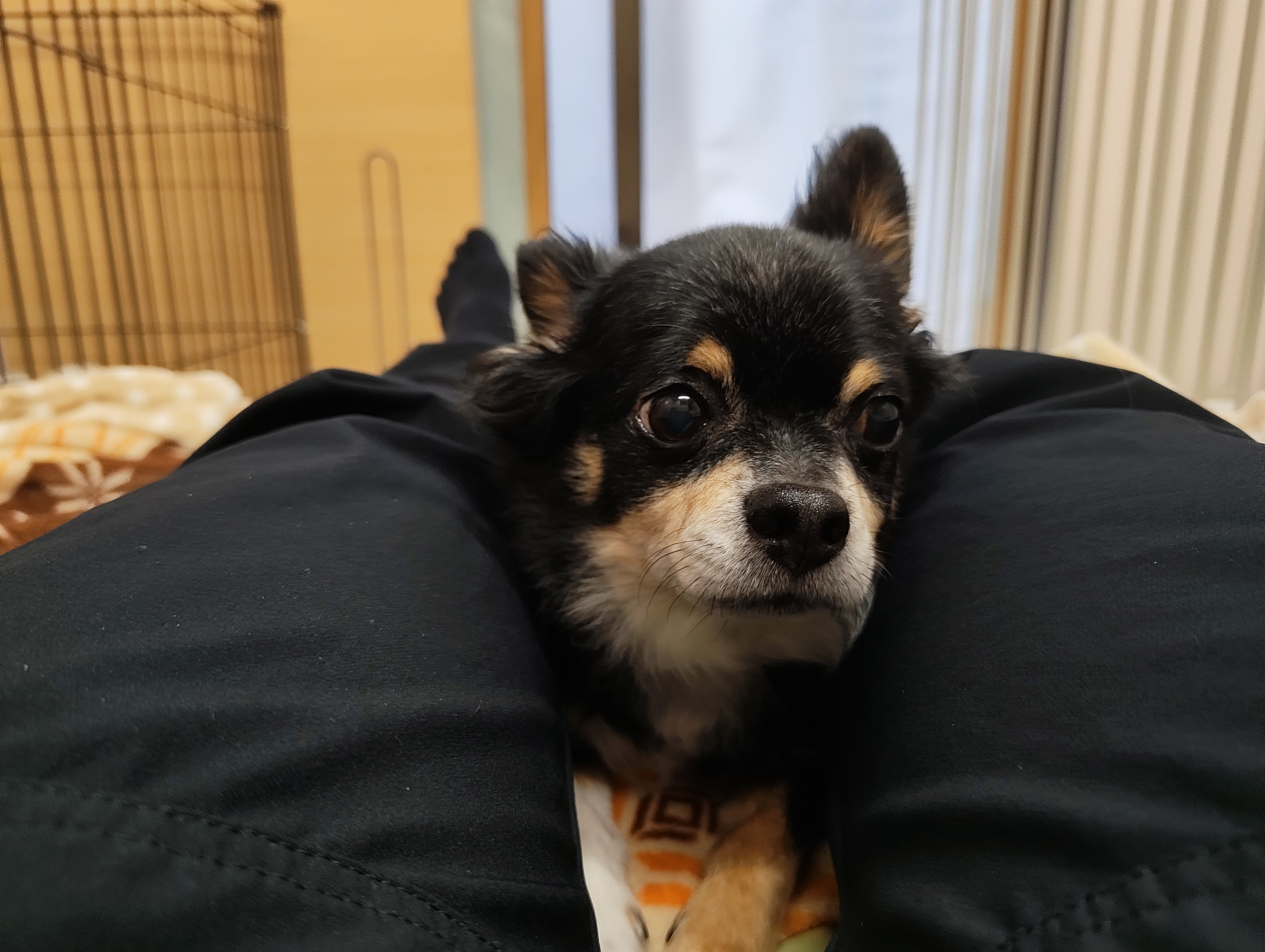 呼ばれた?